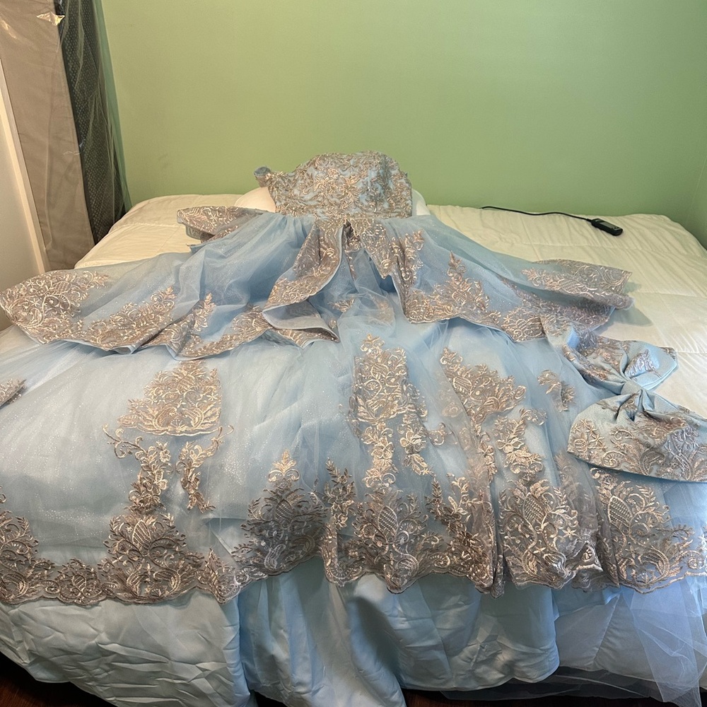 QUINCEANERA Cinderella Elegant Lace Trimmed Baby Blue Ballgown - Picture 4 of 8